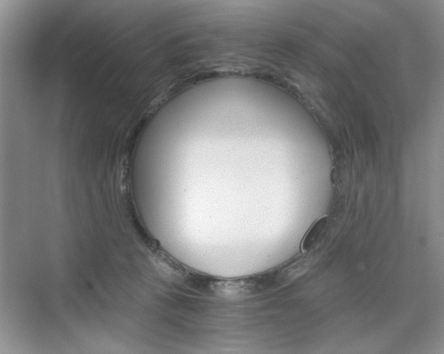 X0000076330273200609290901