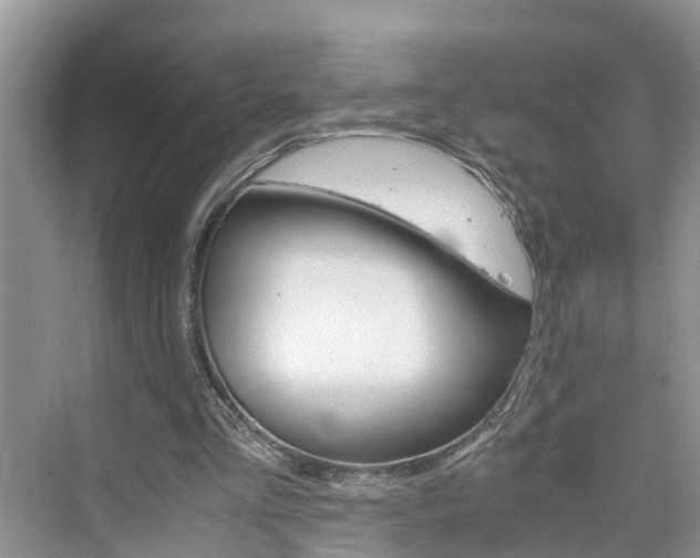 X0000076330293200609290900