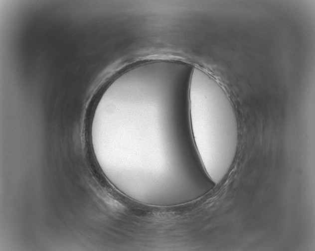 X0000076330296200609290900