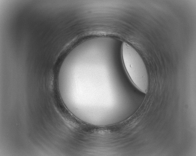 X0000076330304200609290900