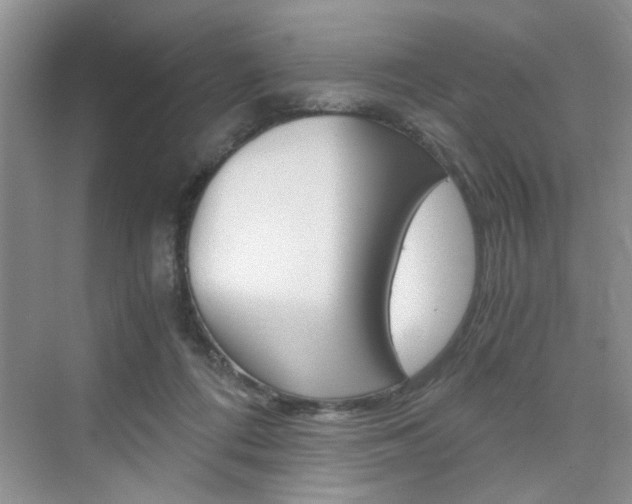 X0000076330312200609290900