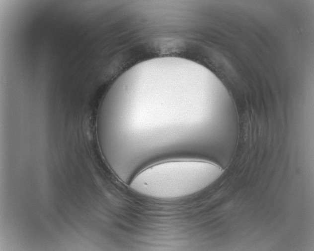 X0000076330316200609290900