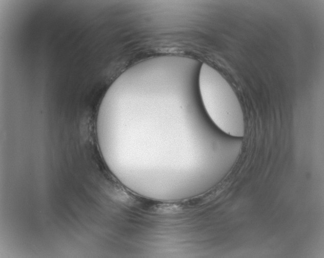 X0000076330322200609290859