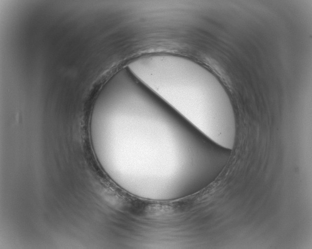 X0000076330354200609290859