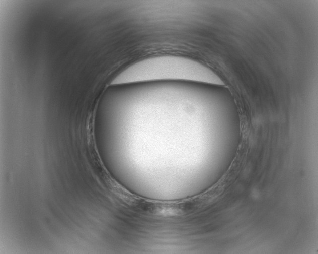 X0000076330360200609290859
