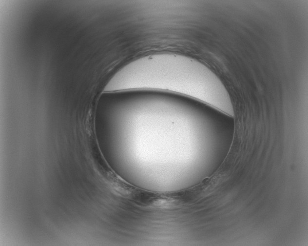 X0000076330364200609290859