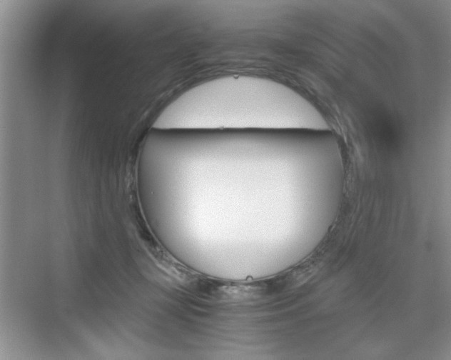 X0000076330367200609290859