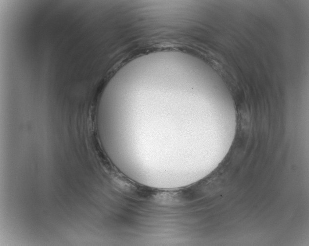 X0000076330422200609290858