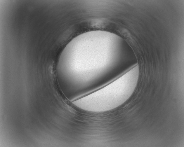 X0000076330424200609290858