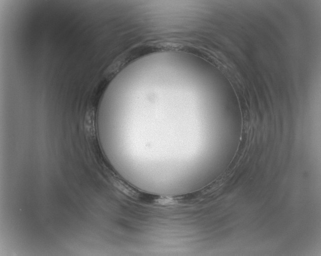 X0000076330425200609290858