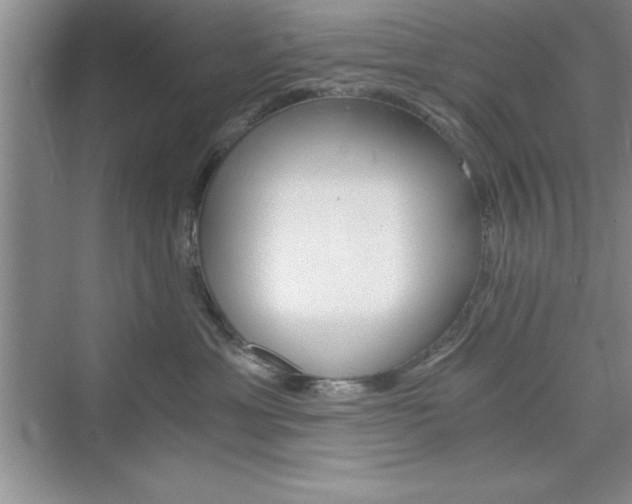 X0000076330429200609290858