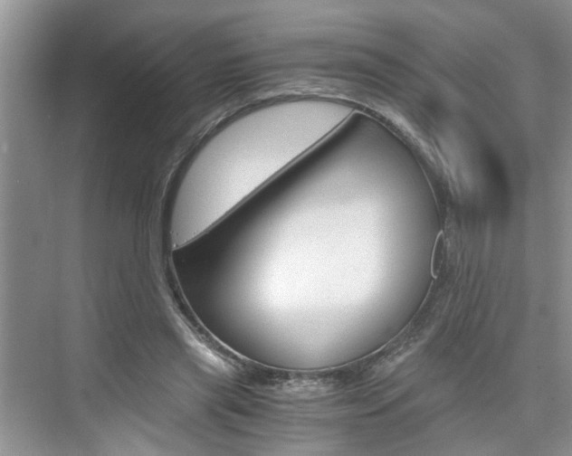 X0000076330445200609290857