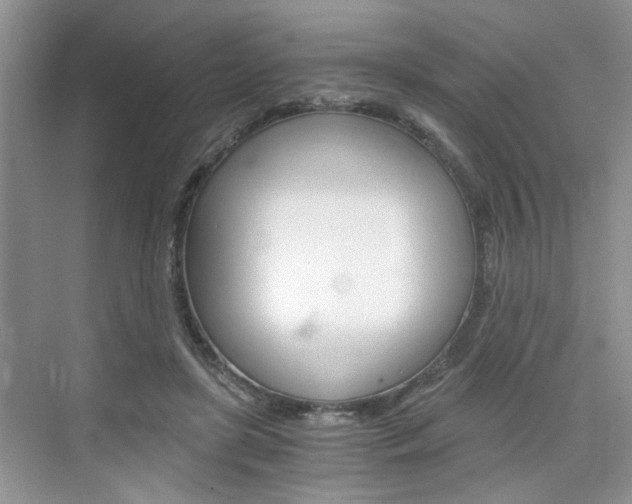 X0000076330451200609290857