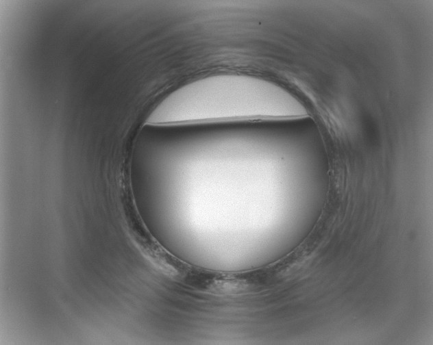 X0000076330455200609290857