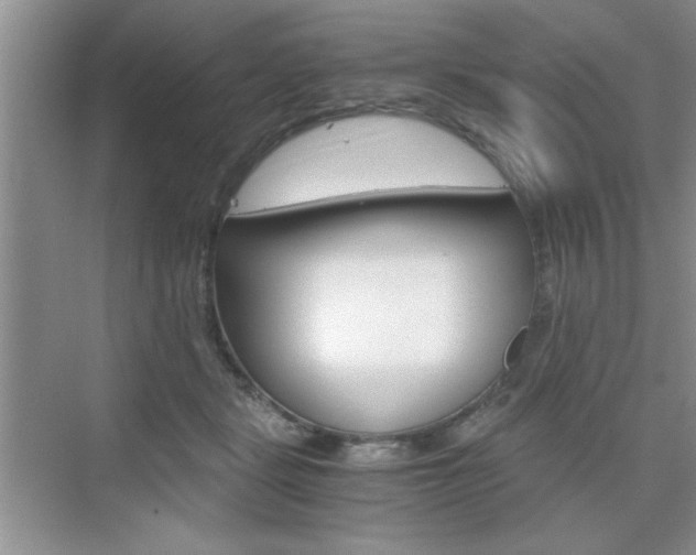 X0000076330461200609290857