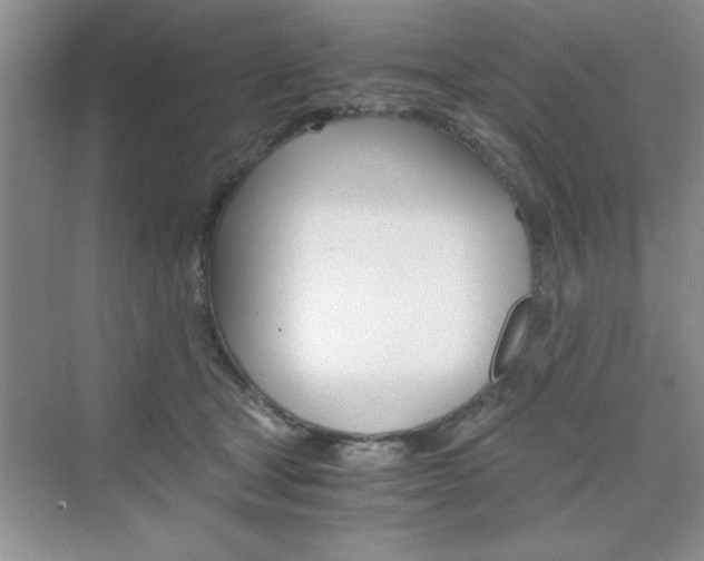 X0000076330465200609290857