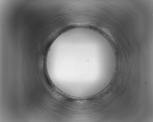X0000076330495200609290856