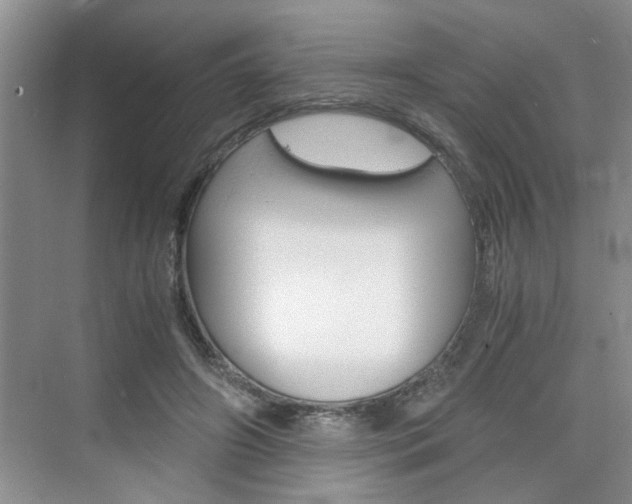 X0000076330498200609290856