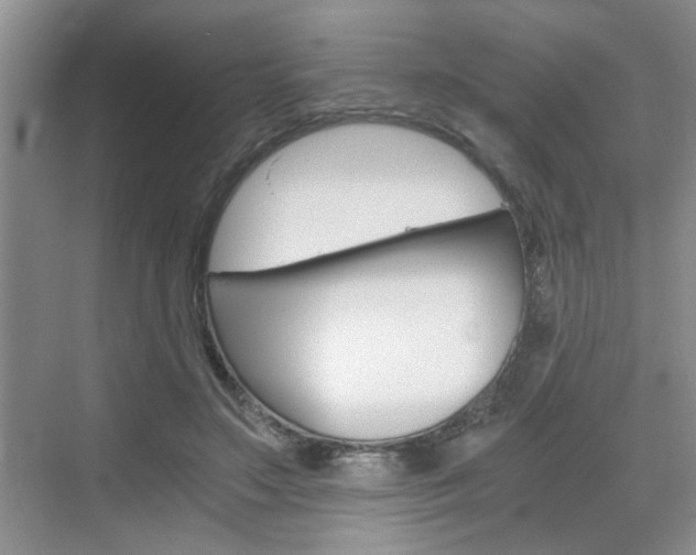 X0000076330499200609290856