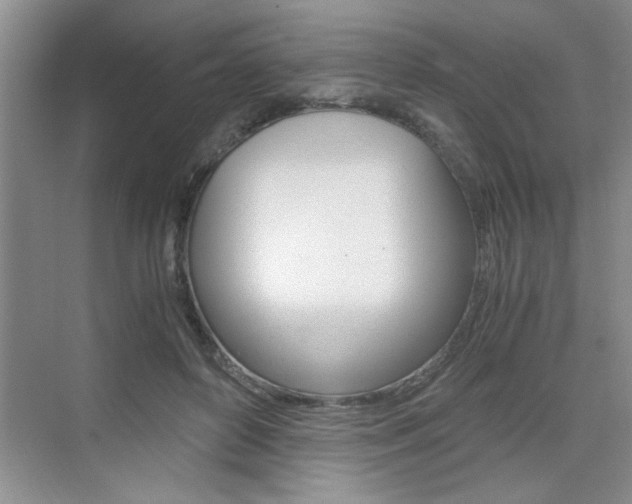X0000076330504200609290856