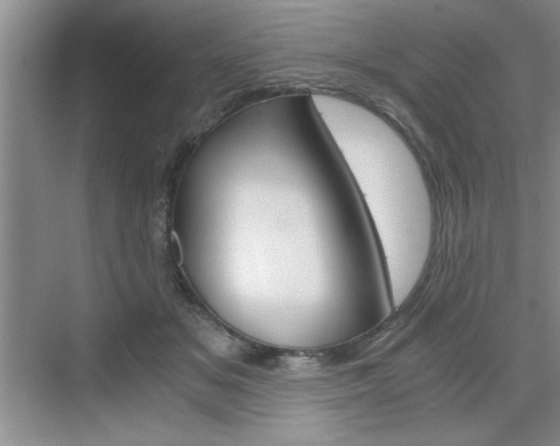 X0000076330509200609290856
