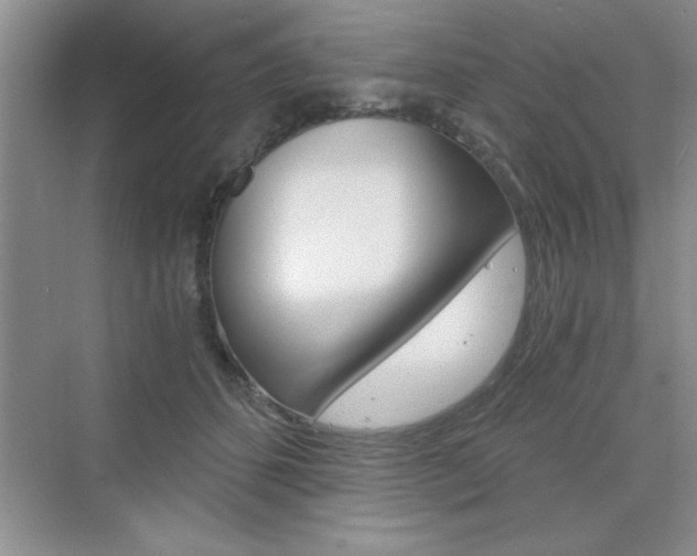 X0000076330512200609290856