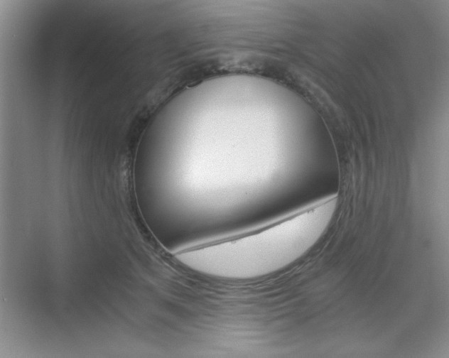 X0000076330513200609290856