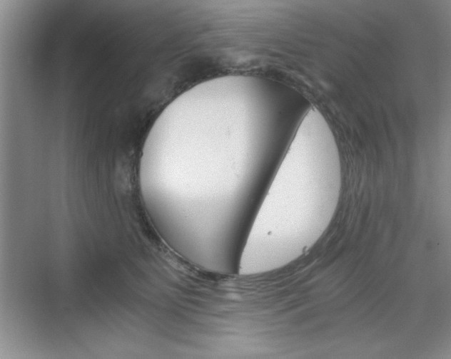 X0000076330515200609290856