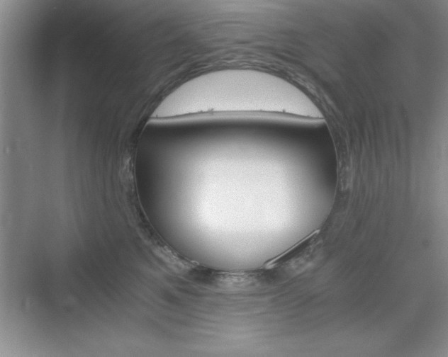 X0000076330521200609290856