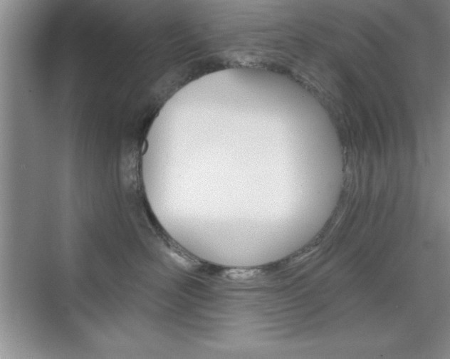 X0000076330526200609290856
