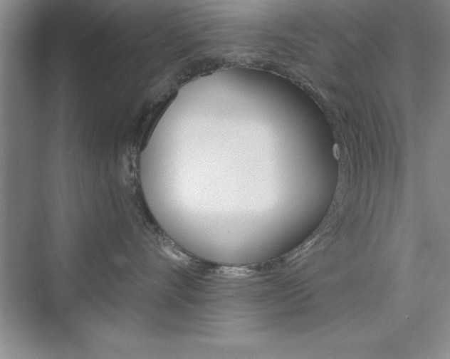 X0000076330528200609290856