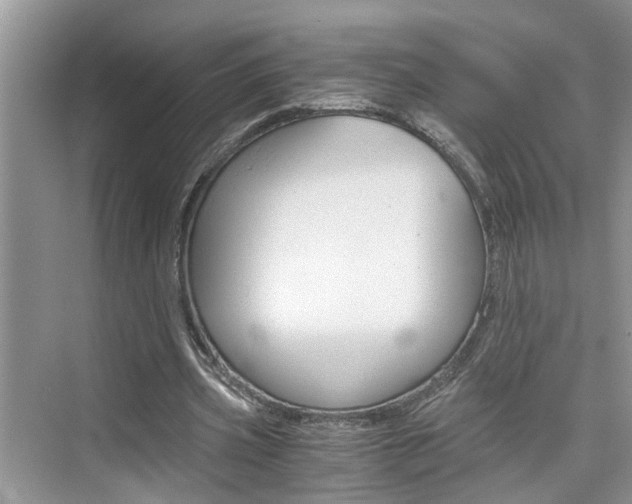 X0000076330533200609290855