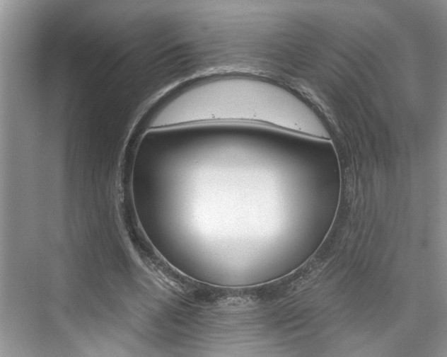 X0000076330536200609290855