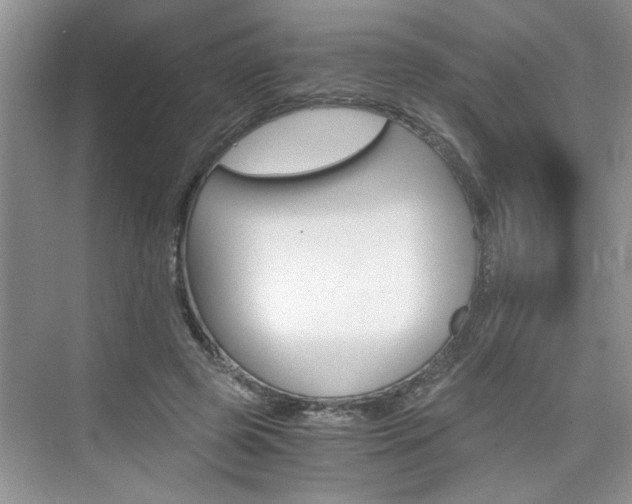 X0000076330545200609290855