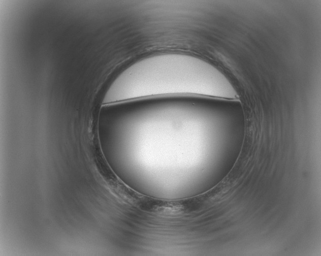X0000076330548200609290855
