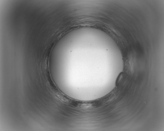 X0000076330554200609290856
