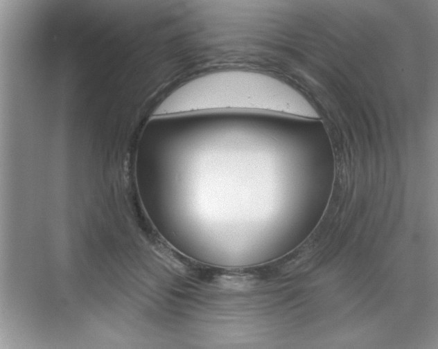 X0000076330556200609290856