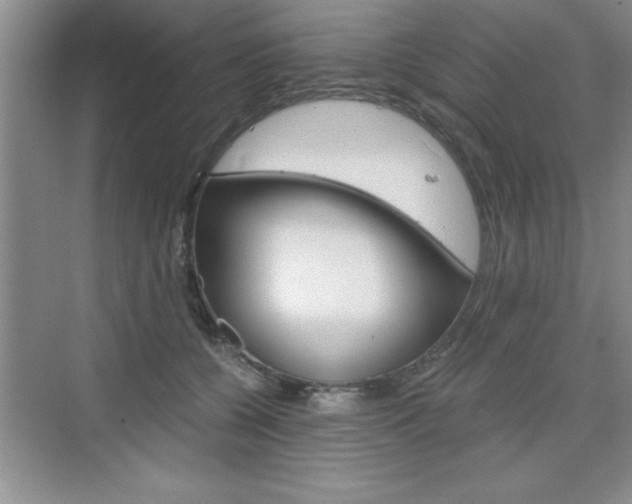 X0000076330560200609290856