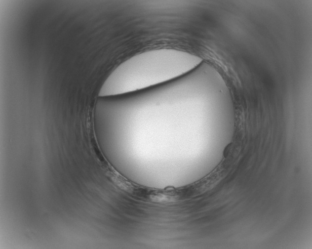 X0000076330561200609290856