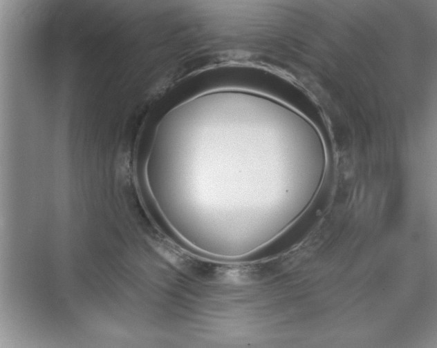 X0000076330564200609290856
