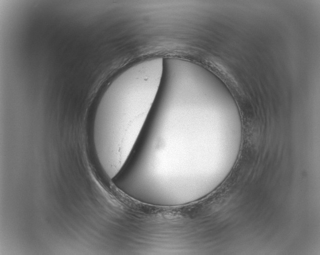 X0000076330586200609290855