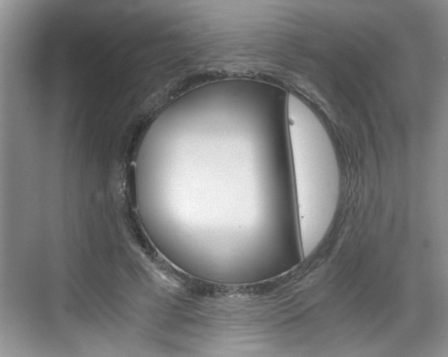 X0000076330593200609290855