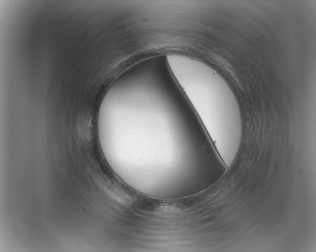 X0000076330596200609290855