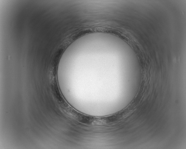 X0000076330599200609290855