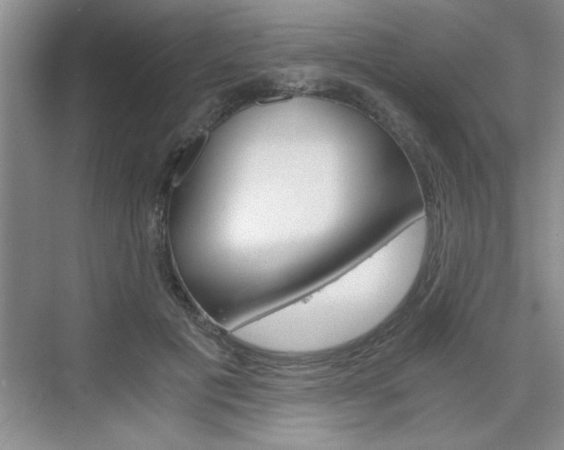 X0000076330601200609290855