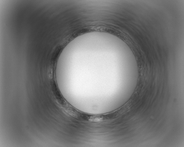 X0000076330602200609290855