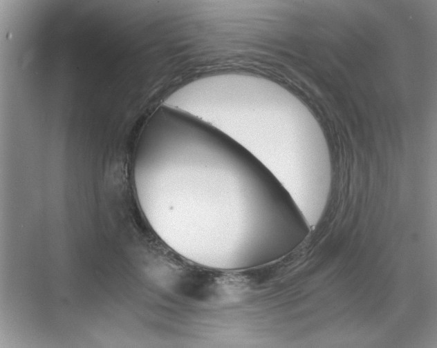 X0000076330603200609290855