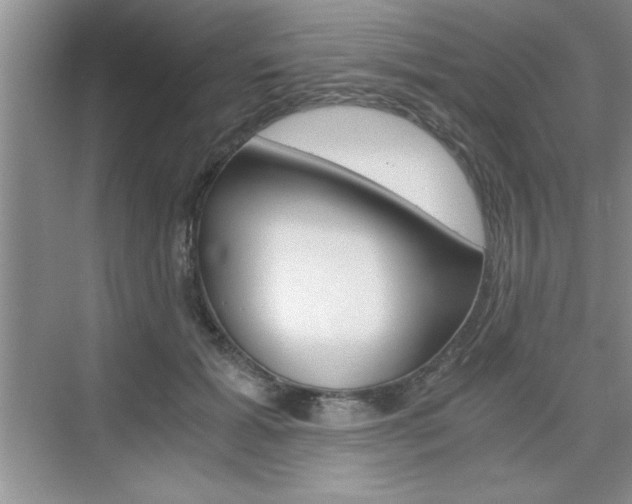 X0000076330605200609290855