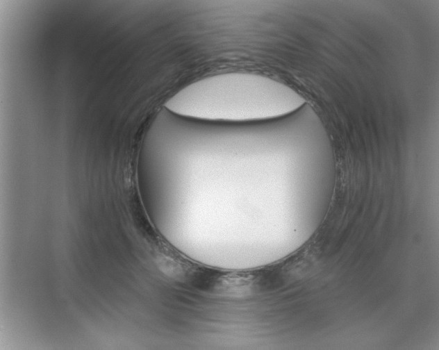 X0000076330606200609290855