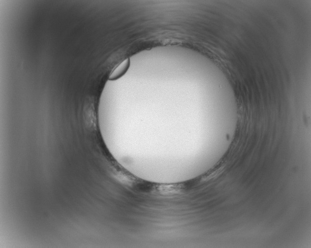 X0000076330622200609290854